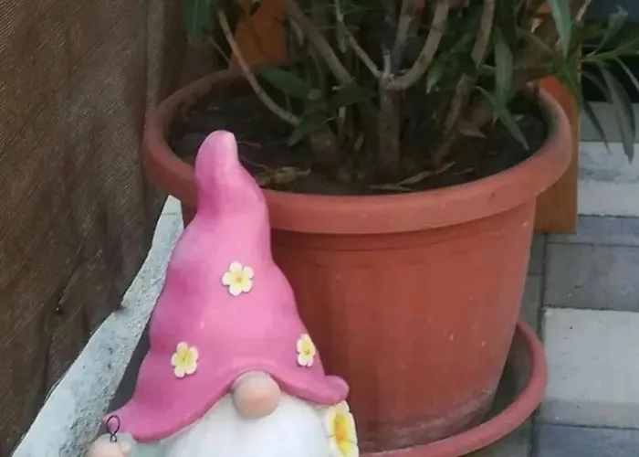 Flower 2 * شيوفوك